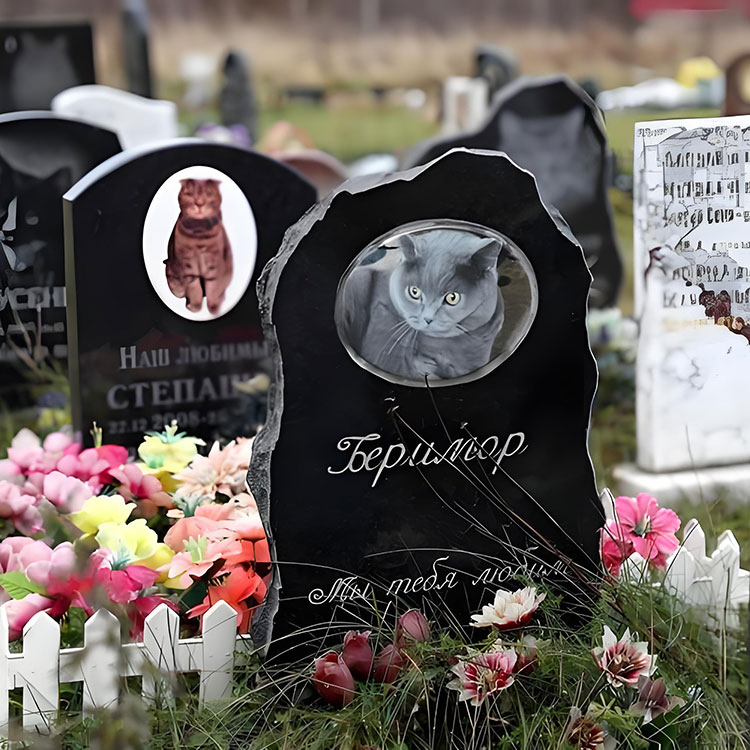 Cad iad na roghanna saincheaptha ardaithe plaiceanna cuimhneacháin peataí thar ainmneacha bunúsacha?